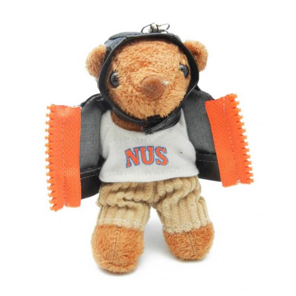 Brown Teddy Bear in Sportswear