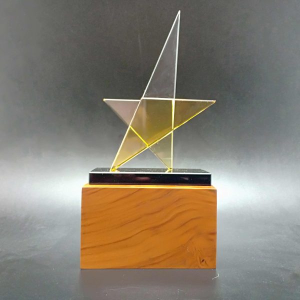 2D Chromatic Star Crystal Trophy on Hardwood Base