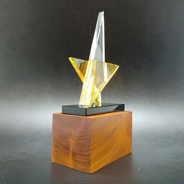 2D Chromatic Star Crystal Trophy on Hardwood Base