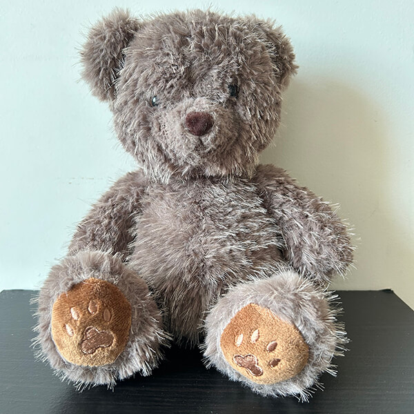 Coco store teddy bear